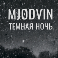 Пиво MJODVIN Темная ночь