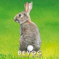 Пиво Extinction Is Forever!: New England Cottontail Пиво Extinction Is Forever!: New England Cottontail