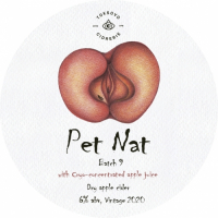 Пиво Pet Nat 2020: Batch 9 With Cryo-concentrated Apple Juice