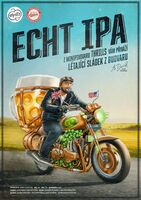 Пиво Budvar Echo Ipa Пиво Budvar Echo Ipa