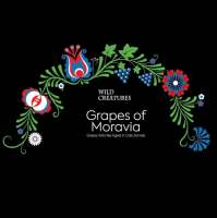 Пиво Grapes of Moravia (2020) Пиво Grapes of Moravia (2020)
