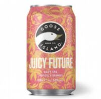 Пиво Juicy Future