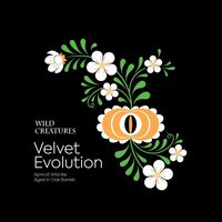 Пиво Velvet Evolution 2020