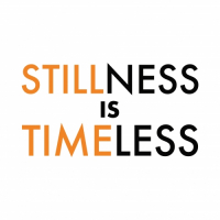 Пиво Stillness Is Timeless