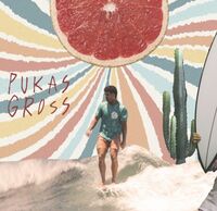 Пиво Gross X Pukas