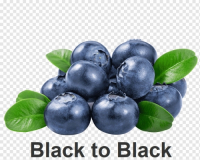 Пиво Black To Black