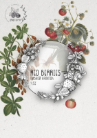 Пиво Draft Berry Red Berries