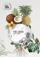 Пиво Draft Berry Pina Colada