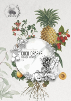 Пиво Draft Berry Сосо Cabana