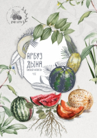 Пиво Draft Berry Дыня-Арбуз