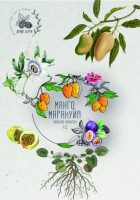 Пиво Draft Berry Манго-Маракуйя