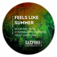 Пиво FEELS LIKE SUMMER