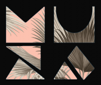 Пиво TROPICAL FUCK STORM SMOOTHIE SOUR