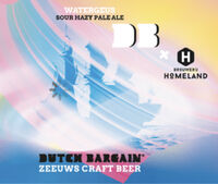 Пиво Watergeus Soury Hazy Pale Ale