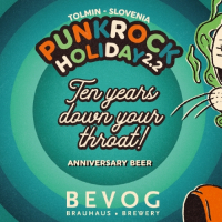 Пиво Punkrock Holiday 2.2 Пиво Punkrock Holiday 2.2