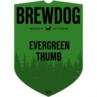 Пиво Evergreenthumb