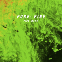 Пиво Pure: Pine