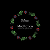 Пиво Meditation (2020)