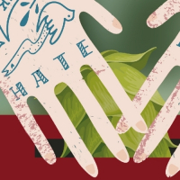 Пиво Вброс [HBC 472+Galaxy]