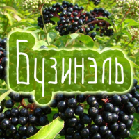 Пиво Бузинель (Businel)