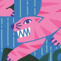 Пиво Concrete Jungle [McKenzie]