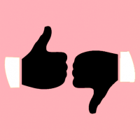 Пиво FIRST TRY: Lingonberry Spices Пиво FIRST TRY: Lingonberry Spices