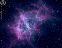 Пиво Галактика В Опасности Пиво Галактика В Опасности