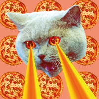 Пиво Принеси Подай