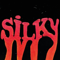 Пиво Silky Пиво Silky