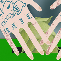 Пиво Вброс [Amarillo Denali]