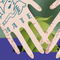 Пиво Вброс [Cashmere + Equanot + Citra]