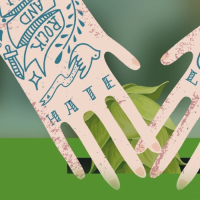 Пиво Вброс [Sabro Incognito]