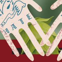 Пиво Вброс [Vic Secret + Mosaic]