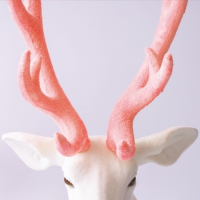 Пиво Верность