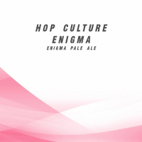Пиво Hop Culture Enigma