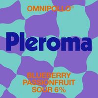 Пиво Pleroma Blueberry Passion Fruit Creme Brulee Sour
