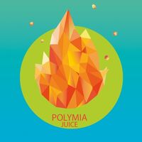 Пиво Polymia: Juice Пиво Polymia: Juice