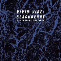 Пиво Vivid Vibe: Blackberry