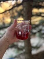 Пиво Angelina  RIS Pastry BA