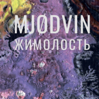 Пиво MJODVIN Жимолость Пиво MJODVIN Жимолость