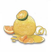 Пиво Citrus Crush (3.5%) Пиво Citrus Crush (3.5%)