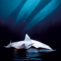 Пиво Ephyra Пиво Ephyra