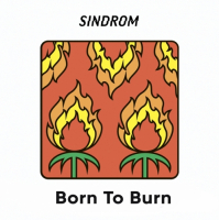 Пиво Born To Burn (2024)