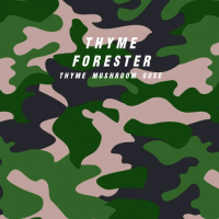 Пиво Thyme Forester Пиво Thyme Forester