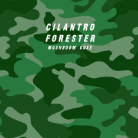 Пиво Cilantro Forester Пиво Cilantro Forester