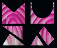 Пиво PIZZA TIME: CONPORRO