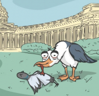 Пиво Bloody PIPA Пиво Bloody PIPA