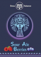 Пиво Sour Ale Berries