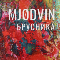 Пиво MJODVIN Брусника Пиво MJODVIN Брусника