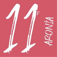 Пиво Cider 11 Aronia